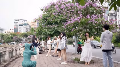 Đâu chỉ một màu hoa
