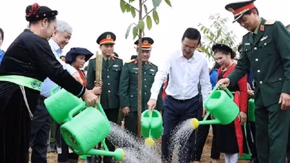 Chủ tịch nước phát động Tết trồng cây “Đời đời nhớ ơn Bác Hồ” tại Tuyên Quang