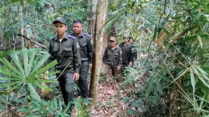 Tăng cường tuần tra, bảo vệ rừng dịp cuối năm