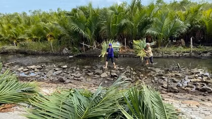 Giảm khai thác rừng và săn bắt động vật hoang dã trái phép ở Thừa Thiên Huế