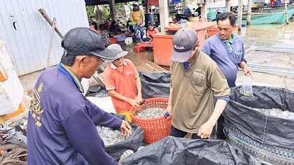 Nhộn nhịp chợ cá vùng biên
