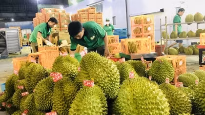 Đẩy mạnh xuất khẩu vào thị trường Trung Quốc