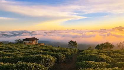 Tiếng vọng xuân trên phố núi