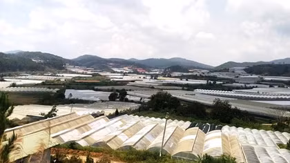 Chây ỳ nộp tiền thuê đất ở Khu nông nghiệp công nghệ cao Ấp Lát