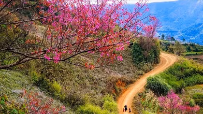 Xuân tràn đất nước