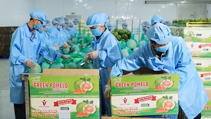 Hàng Việt rộng cửa vào thị trường Mỹ