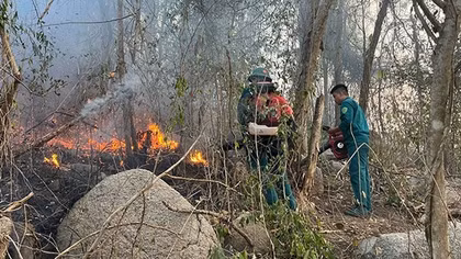 Bà Rịa-Vũng Tàu: Hơn 28.000ha rừng đối mặt với nguy cơ cháy
