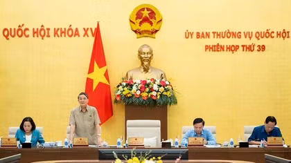 Bổ sung Luật Thuế thu nhập cá nhân và Luật Xử lý vi phạm hành chính vào "Luật sửa 7 luật"