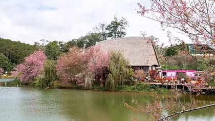 Giữ lại cho Măng Đen
