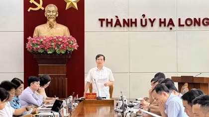 Vì sao Giám đốc ban Quản lý dự án công trình Hạ Long bị đình chỉ công tác?