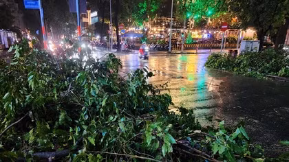 Mưa lớn kéo dài, cây xanh bật gốc đè 4 người bị thương