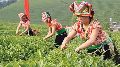 Không để các hộ gia đình người dân tộc thiểu số thiếu đất ở, đất sản xuất