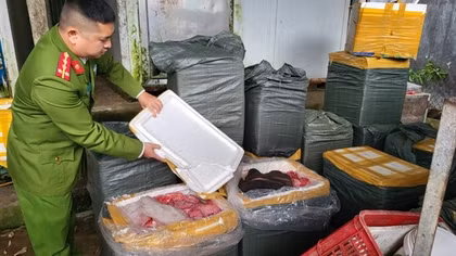 3 tấn thịt lợn đông lạnh không nguồn gốc chờ bán dịp Tết