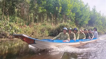 Phối hợp làm tốt công tác phòng, chống cháy rừng