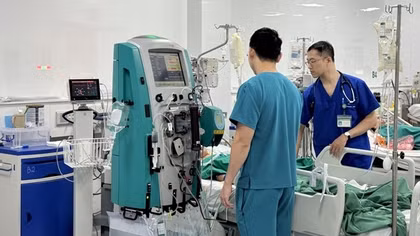 Bé gái 13 tuổi nguy hiểm tính mạng khi bị ong mật đốt