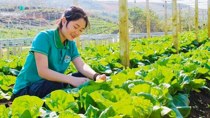 Nậm Pồ khởi sắc với những chính sách phát triển kinh tế vùng đồng bào dân tộc thiểu số và miền núi