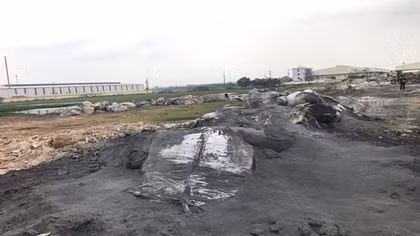 Cần xử lý nghiêm tình trạng xả chất thải chì nguy hại ra môi trường ở Văn Lâm
