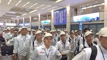 Cảnh báo lừa đảo lao động Việt Nam sang Hàn Quốc làm việc
