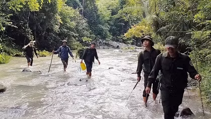 Triển khai nhiều giải pháp quản lý, bảo vệ rừng tại Nam Giang