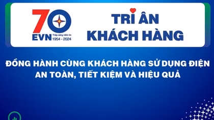 EVN thực hiện Tháng tri ân khách hàng năm 2024