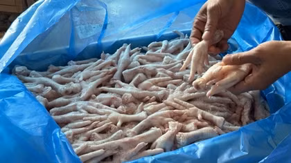 Bộ NN&PTNT đề nghị 3 tỉnh tăng cường ngăn chặn nhập lậu giống vật nuôi
