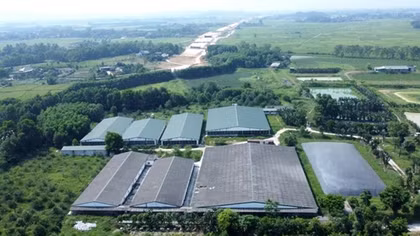 Bất thường trong việc tăng đàn, điều chỉnh quy hoạch