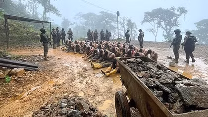 Cuộc chiến vàng ở Ecuador