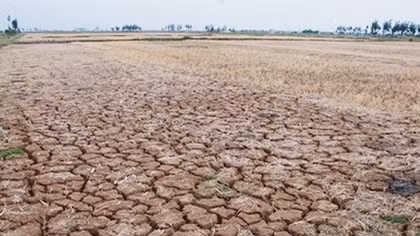 Hỗ trợ tỉnh Ninh Thuận 1,9 tỷ đồng để ứng phó với hạn hán