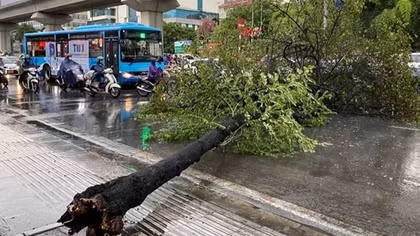 Bão Yagi mạnh cấp 14, miền Bắc mưa rất to kèm gió giật