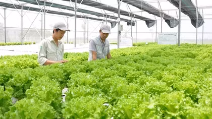 Bài cuối: Nhận diện sớm nguy cơ “ngoại biên chính sách”
