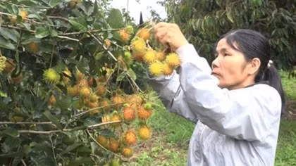 Điểm tựa cho người nghèo ở Đam Rông