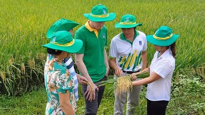Nghiên cứu, xem xét sửa đổi Luật thuế 71