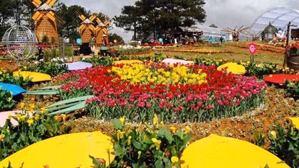 Nhiều chương trình đặc sắc Festival Hoa Đà Lạt lần thứ X
