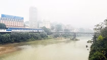 Hồng tươi xuân biên cương