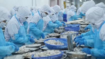 Xuất khẩu thuỷ sản tăng - Vì sao?