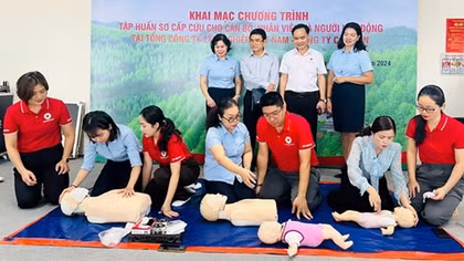 Huấn luyện bồi dưỡng kiến thức, kỹ năng sơ cấp cứu cho người lao động tại VINAFOR