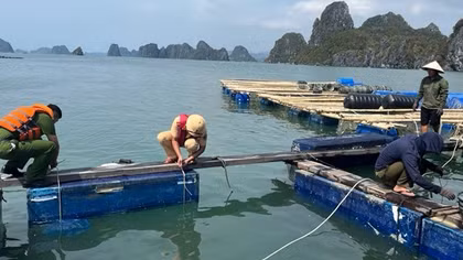 Ngư dân vùng tâm bão nỗ lực khắc phục hậu quả để ra khơi