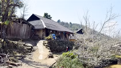 Du xuân trên rẻo cao
