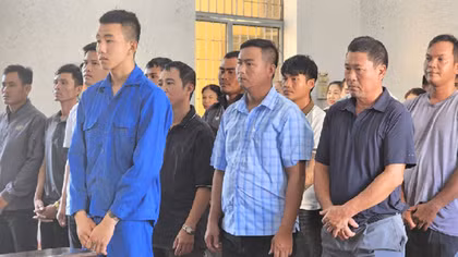 Tuyên án nhóm bị cáo trong vụ phá rừng lớn nhất Đắk Lắk
