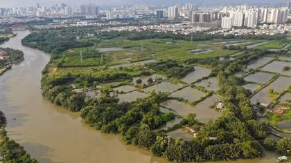 Cân nhắc khi giao dự án cho doanh nghiệp không đầu tư xây dựng
