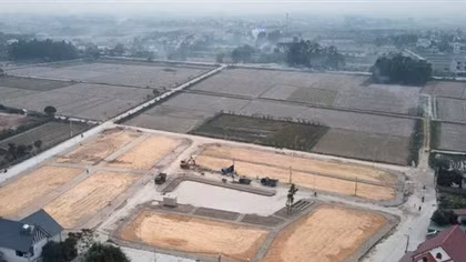 Để đấu giá không bị biến thành trò đùa