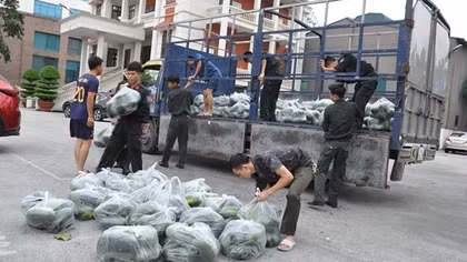 Đoàn Thanh niên, Hội Phụ nữ Công an Hải Dương hỗ trợ nông dân tiêu thụ gần 10 tấn nông sản sau bão