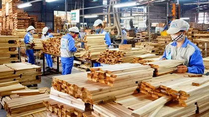 Nhiều doanh nghiệp đã có đơn hàng đến tháng 6/2024