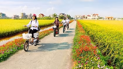 Kiểm toán nhà nước chỉ ra nhiều chế độ chính sách “gây khó” trong việc phát triển nông thôn mới
