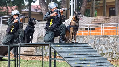 "Lửa nghề" ở nơi đầu ngành về huấn luyện và sử dụng cảnh khuyển