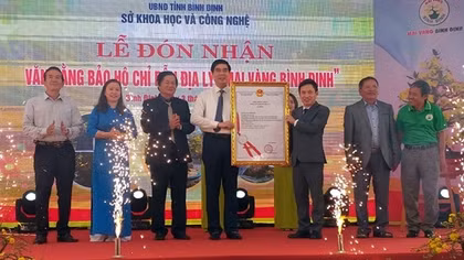 Mai vàng Bình Định được cấp chứng nhận bảo hộ chỉ dẫn địa lý