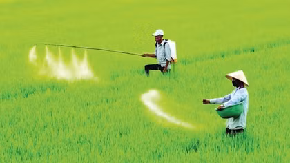 Chuyên gia thuế đề xuất sửa Điều 15 trong dự án sửa đổi Luật Thuế GTGT