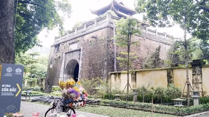 Nhịp phố bốn mùa hoa