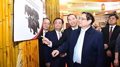 Nông nghiệp tiếp tục khẳng định vị thế "trụ đỡ" của nền kinh tế