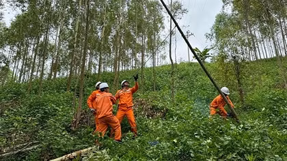 EVNNPC đảm bảo cung cấp điện ổn định dịp nghỉ lễ Quốc khánh